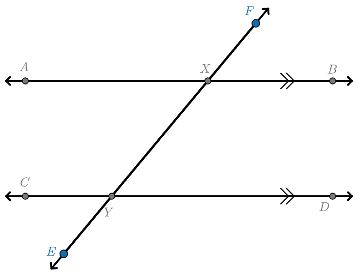 Parallel lines AB and CD are intersected by line EF at X and Y respectively.