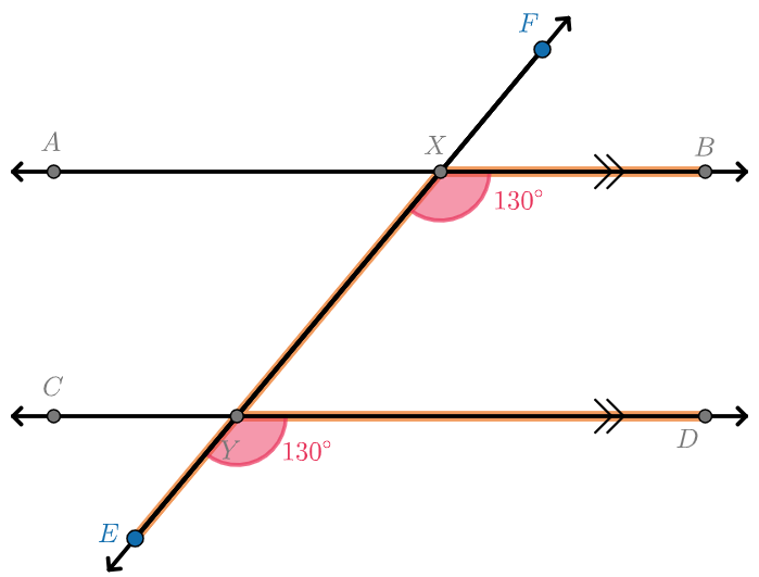 We observe that angle BXY and angle DYE are both 130 degrees.