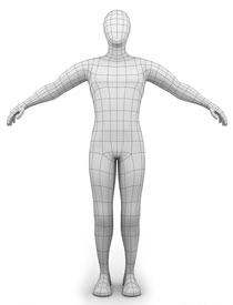 The surface area of a 3D modelled human mannequin.
