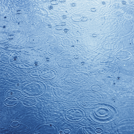 Raindrops making scattered ripples
