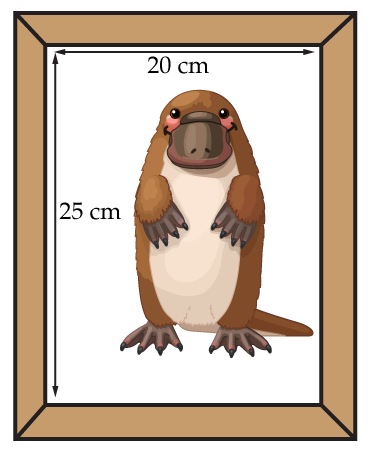 A picture of a platypus measures ‌20 centimetres by ‌25 centimetres.