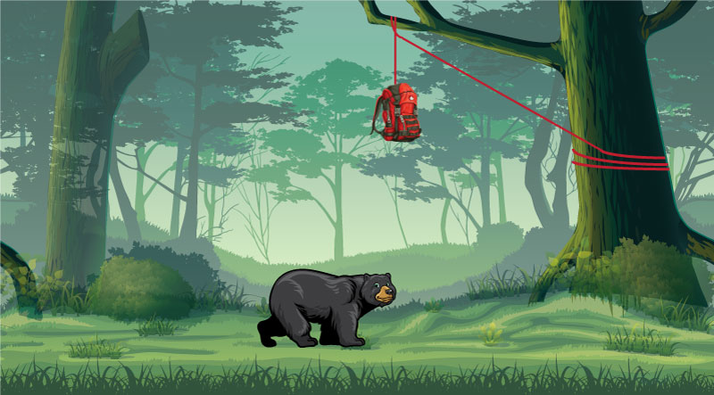 A bag hung from a tree out of reach of a nearby bear.