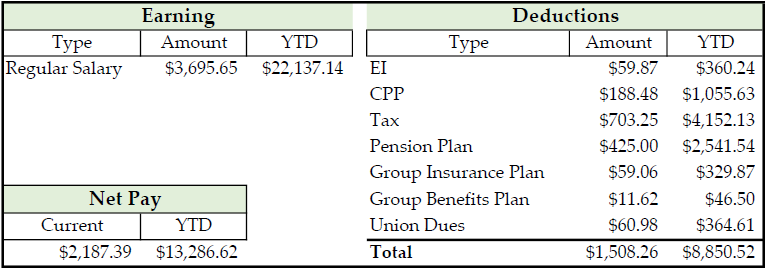 A sample pay stub, see adjacent alternative format.