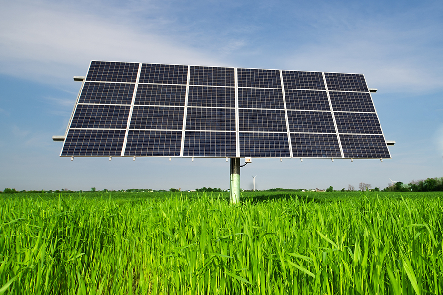 A large grid of solar panels